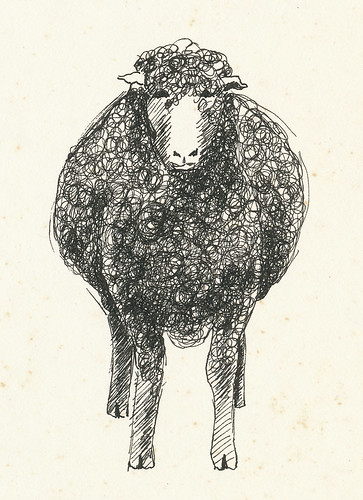 sheep drawing   pen and ink