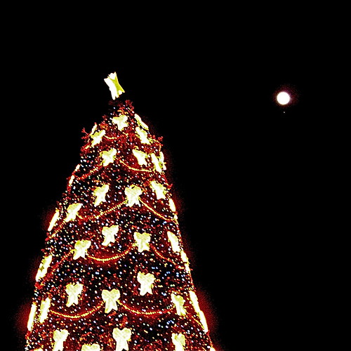 The tree with the Moon and Mars