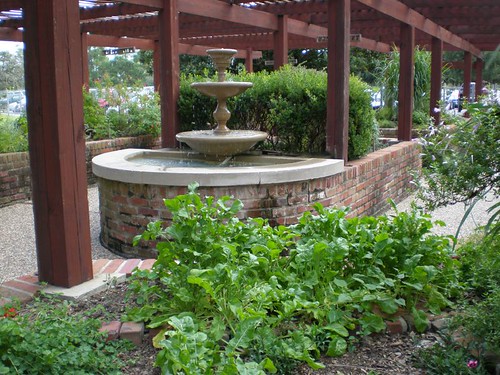 Designing your herb garden can