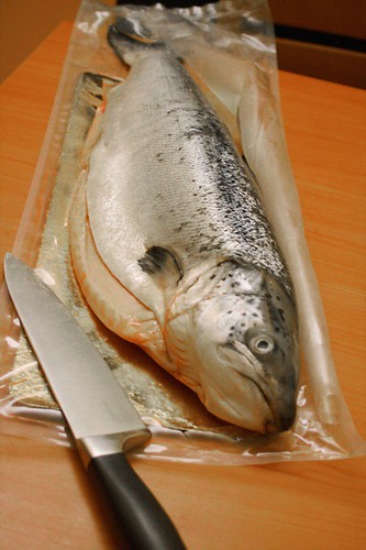 A salmon of 2 khilos