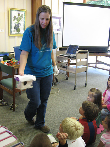 The Bat Lady gently shows a small bat to awestruck children at the Woodside Library