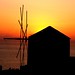 Windmill at sunset (Oia, Santorini) by marcelgermain