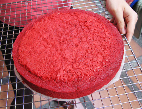 Red Velvet Cake Layer