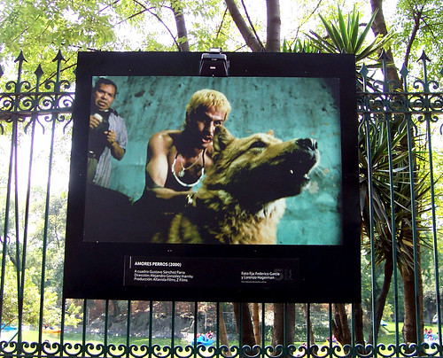 amores perros poster. Amores Perros Poster. A tribute to cinema filmed in Mexico City.