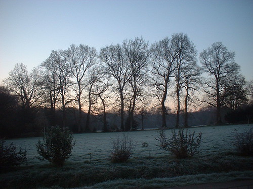 Early morning frost in Brittany