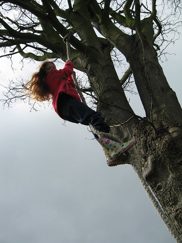 Carmen boven in de boom