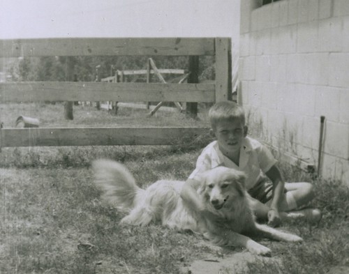 Blondie and her boy, 1953