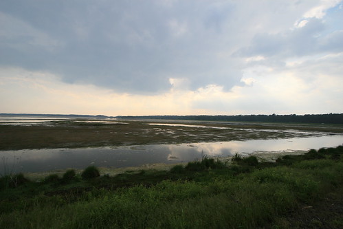 Chincoteague View
