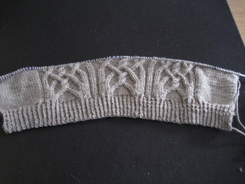 Cable vision cardigan