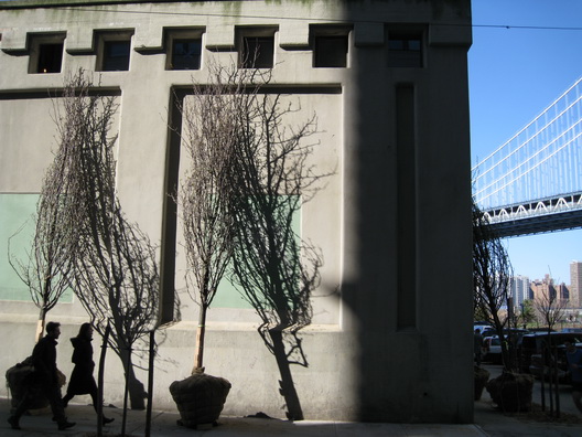 Dumbo Trees and Shadows