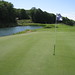 Treetops Golf Review - Fazio Premier Golf Course