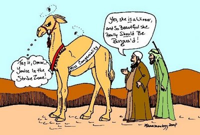 CamelBeauty2