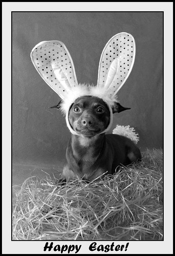 happy easter pictures in black and white. Same photo in lack and white.