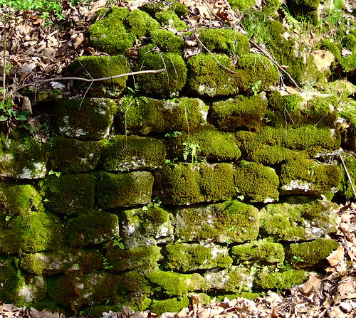 Rockwoods Reservation, in Saint Louis County, Missouri, USA - old railroad stone wall