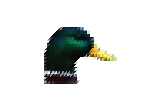 The Sliced Pixel Project Duck
