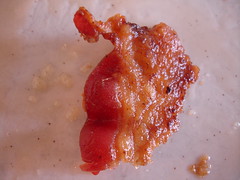 a tasty morsel of bacon