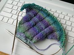 Clapette beginnings (by aswim in knits)