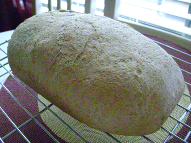 whole wheat bread, SAS November