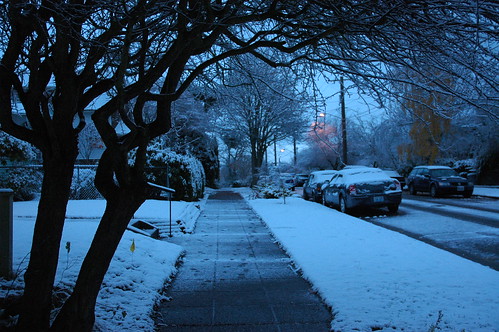 House, neighborhood walk, trees with snow, Greenwood, Seattle, Washington, USA