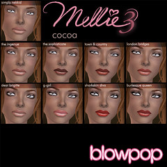 Mellie3 Launch makeups-Cocoa copy copy