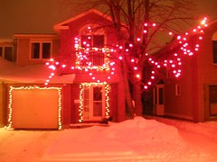 Neighbourhood Christmas lights