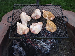 Swing out campfire grill grate with grilled chicken