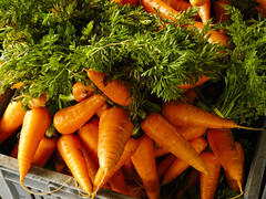 lovely carrots