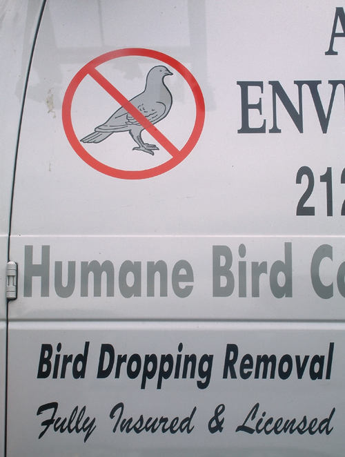 bird removal van