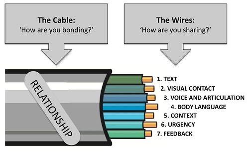 Cable and wire model