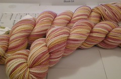 Claudia Hand Painted Fingering Weight (Butter Pecan)