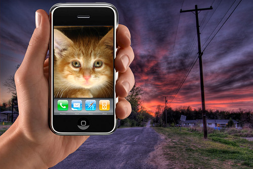 A kitten on an iPhone at (HDR) sunset