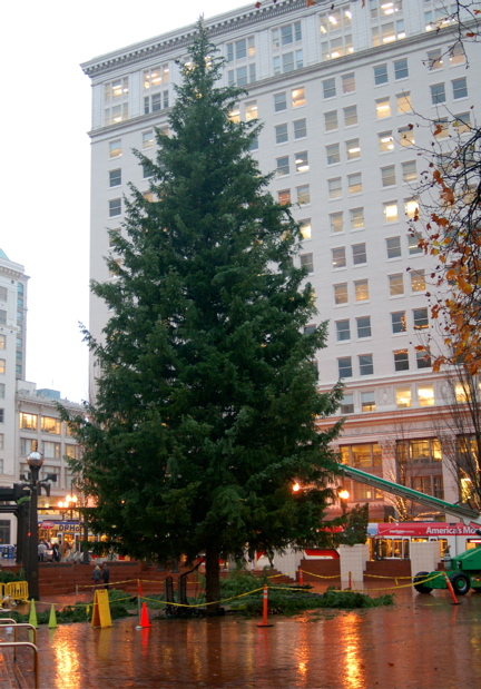 Portland (OR) Daily Photo: Portland's Christmas Tree