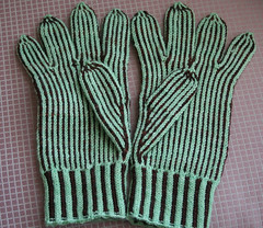 Gloves Back 012108