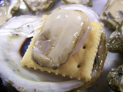 Oyster on Saltine