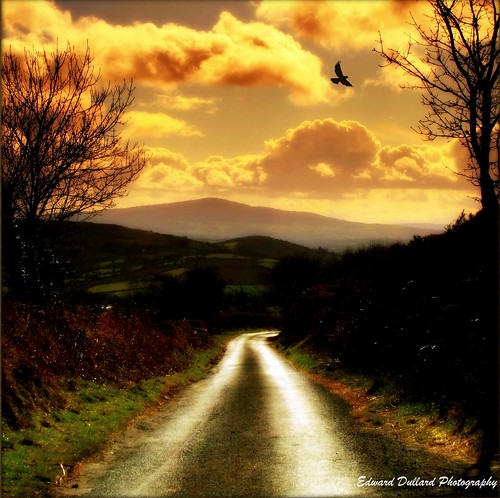 THE OLD BOG ROAD (NO 3)         (Mar 21, 2008 #424 EXPLORE) KILKENNY, IRELAND.