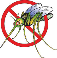 Just Say NO To Mosquitoes