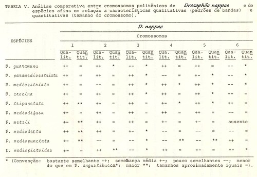 tabela comparativa entre os cromossomos politênicos da D.nappae e outras espécies.