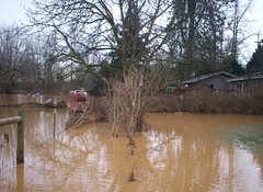 The river is on the OTHER side of the house.  This is what was left when the flood receded.
