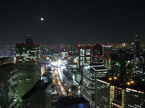 View from Park Hyatt, Tokyo