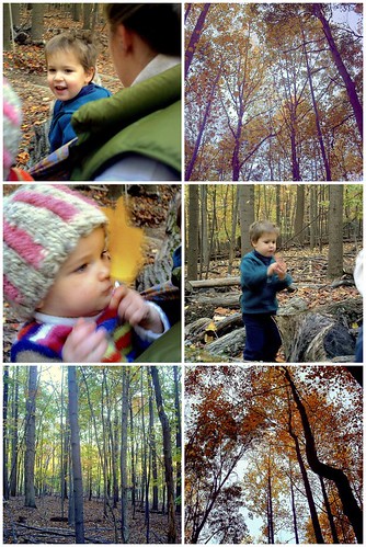 A little late-afternoon fall hike in Valley Forge NP