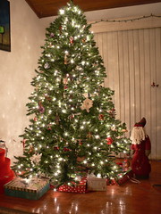 Our tree 2007