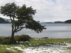 P.N. Tierra del Fuego