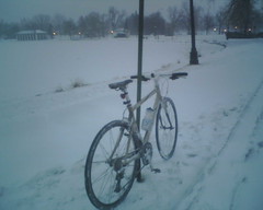 Riding Home in the Snow