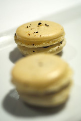 Petits fours- Marcoon