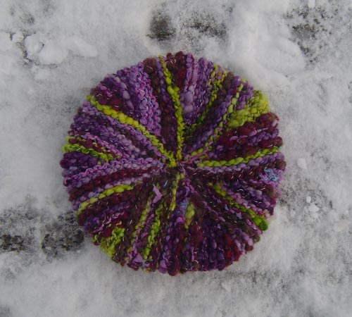 urchin in the snow