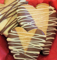Chocolate Ginger Heart Biscuits/Cookies 2558