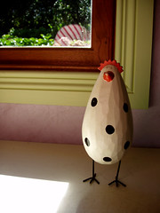 A little spotted chook