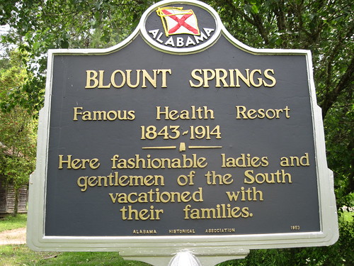 Blount Springs, Alabama Historical Marker by fables98