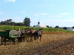 farming in PA Amish country; photo by John Darcy