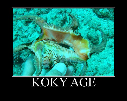 Koky age